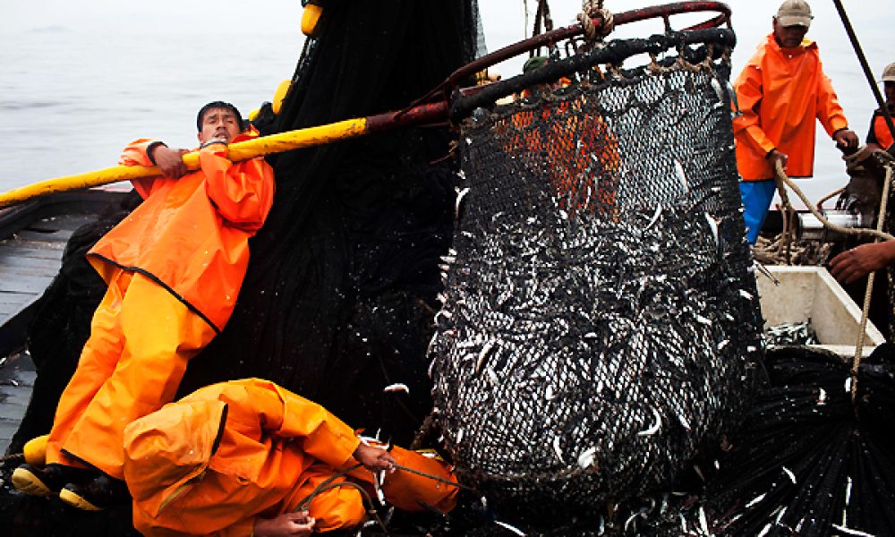 Día del trabajador de la Pesca Industrial