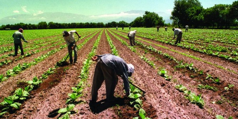 Día del Trabajador Rural