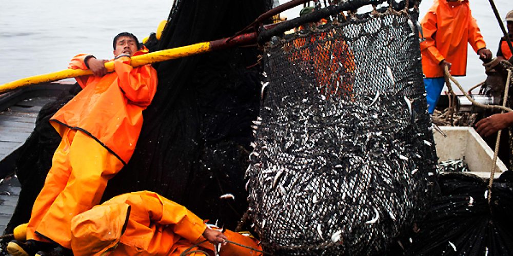 Día del trabajador de la Pesca Industrial